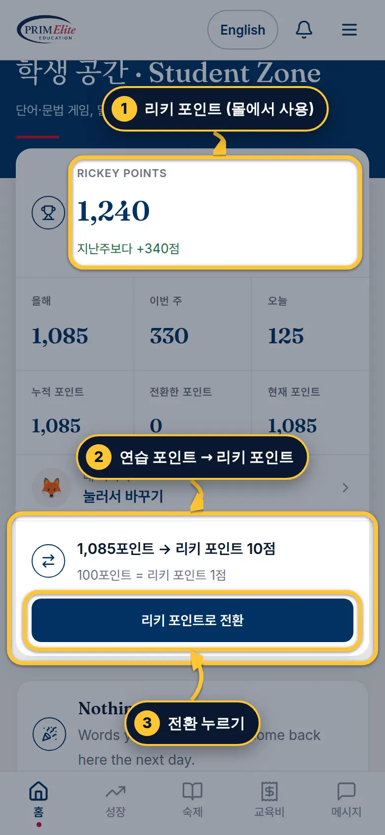 내 포인트 확인